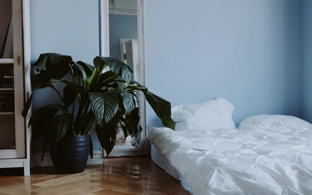 Minimal bedroom with white bedding, a tall plant and a full-length mirror