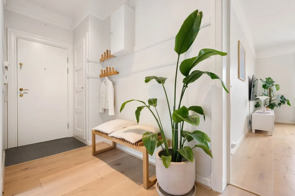 Bright entrance hall with a bench and a large plant