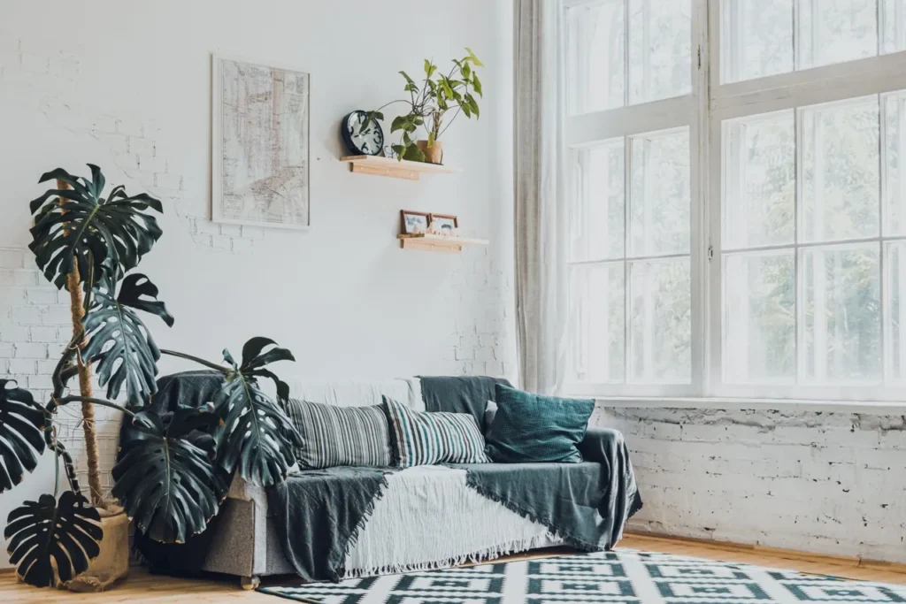 Bright living room with monstera plants and a sofa