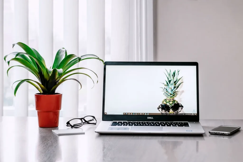 Desk with a laptop and a potted plant