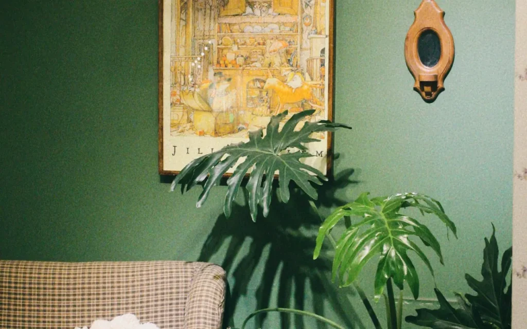 Green-walled living room with monstera plants