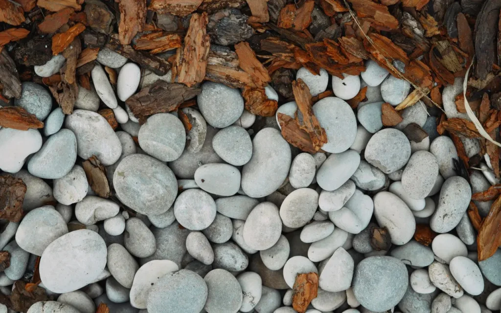 Pale pebbles mixed with pieces of bark