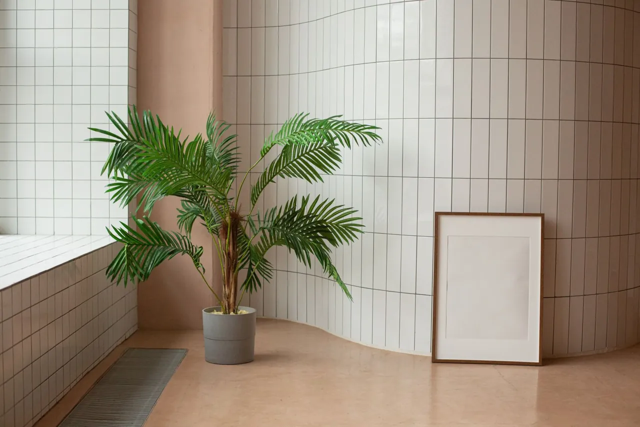 Potted palm standing in the corner of a white room