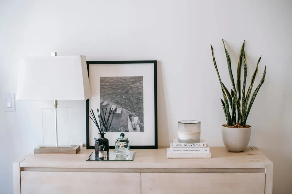 Snake plant on a white console table beside a lamp