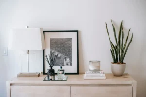 Snake plant on a white console table beside a lamp